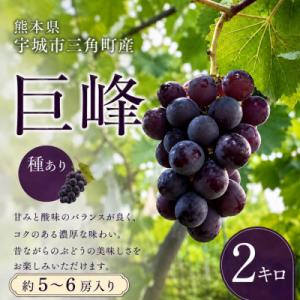 ふるさと納税 宇城市 【先行予約】【数量限定】熊本県 宇城市産 巨峰 ぶどう 2kg 【みのだ農園】