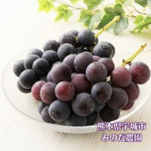 ふるさと納税 宇城市 【先行予約】【数量限定】...の詳細画像2
