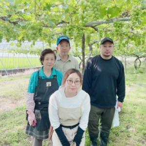 ふるさと納税 宇城市 【先行予約】【数量限定】...の詳細画像3