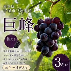 ふるさと納税 宇城市 【先行予約】【数量限定】熊本県 宇城市産 巨峰 ぶどう 3kg 【みのだ農園】