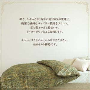 ふるさと納税 花巻市 アイダー 羽毛布団 掛け...の詳細画像1