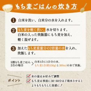 ふるさと納税 鴻巣市 国産もち麦6kg《1kg...の詳細画像3