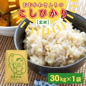 ふるさと納税 坂井市 おおかわさんちのコシヒカリ玄米30kg [F-10803]