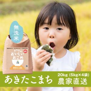 ふるさと納税 稲敷市 【令和7年産・自家栽培・自家精米・農家直送】稲敷市産あきたこまち20kg(5k...