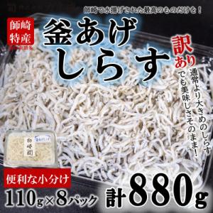 ふるさと納税 南知多町 訳あり カネ成の釜揚げしらす 880g 110g×8パック 小分け 減塩 無添加 無着色 冷凍
