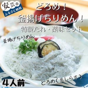 ふるさと納税 安芸市 どろめ!釜あげちりめん!特製たれ・薬味セット(4人前)