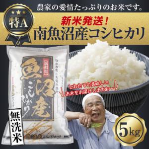 ふるさと納税 南魚沼市 無洗米 令和7年産 南魚沼産 コシヒカリ 5kg (美味しいお米の炊き方ガイ...