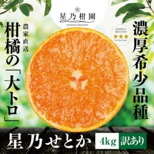 ふるさと納税 八幡浜市 【訳あり】星乃みかん園の星乃せとか(4kg)【D45-83】