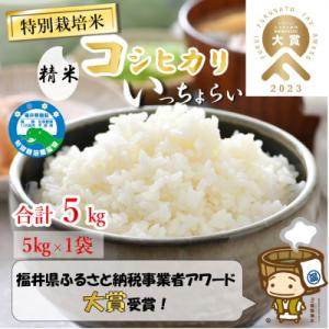 ふるさと納税 あわら市 【令和8年産】特別栽培米 コシヒカリ 精米 5kg「いっちょらい」