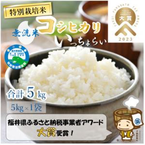 ふるさと納税 あわら市 【令和8年産】特別栽培米 コシヒカリ 無洗米 5kg「いっちょらい」