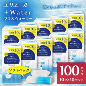 ふるさと納税 島田市 【ふるさと納税】エリエール+Water(保湿)ソフトパックティシュー120組10パック×10セット