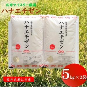 ふるさと納税 鯖江市 鯖江市産【令和8年産】ハナエチゼン 10kg