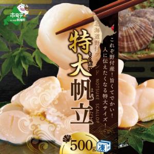ふるさと納税 別海町 ほたて貝柱500g 肉厚 大玉 北海道野付産 生食 刺身 用 冷凍帆立貝柱『ホ...