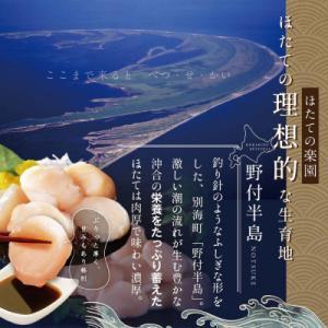 ふるさと納税 別海町 ほたて貝柱 500g 大...の詳細画像1