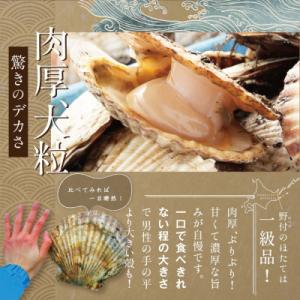 ふるさと納税 別海町 ほたて貝柱 500g 大...の詳細画像2