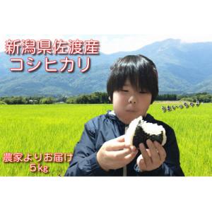 ふるさと納税 佐渡市 北見農園の特別栽培米 令和7年佐渡産コシヒカリ 5kg 農家自慢の逸品 精米