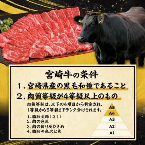 ふるさと納税 宮崎市 宮崎牛モモ・ウデ赤身焼肉1kgの詳細画像1