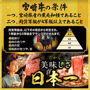 ふるさと納税 宮崎市 宮崎牛モモ・ウデ赤身しゃ...の詳細画像1