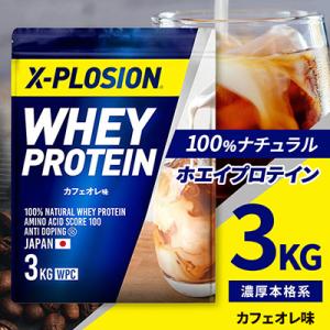 ふるさと納税 小山市 【カフェオレ味】WPC 100%ナチュラルホエイプロテイン 3kg