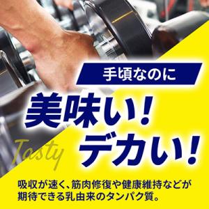 ふるさと納税 小山市 【カフェオレ味】WPC ...の詳細画像1