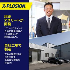 ふるさと納税 小山市 【カフェオレ味】WPC ...の詳細画像3