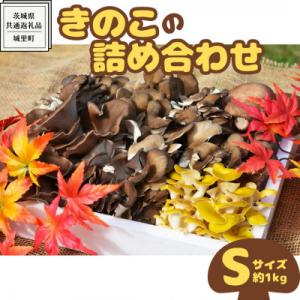ふるさと納税 牛久市 きのこの詰め合わせ　Sサイズ(約1kg)　(茨城県共通返礼品:城里町)