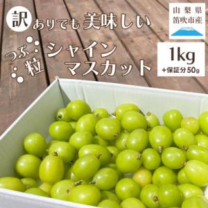 ふるさと納税 笛吹市 山梨県笛吹市産　訳あり　粒1kg以上(+保証分50g)　シャインマスカット(種...