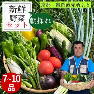 ふるさと納税 亀岡市 【訳あり】農家直送!佐伯の里の新鮮 季節の野菜セット 7〜10品目