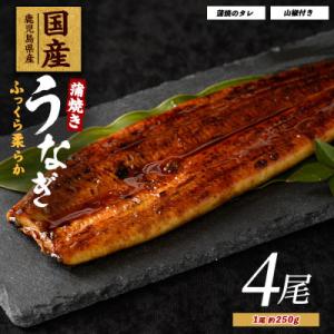 ふるさと納税 指宿市 鹿児島県産 うなぎ蒲焼 じっくり焼き 約250g×4尾 木目 化粧箱入り 03...