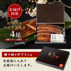 ふるさと納税 指宿市 鹿児島県産うなぎ蒲焼じっ...の詳細画像1
