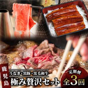 ふるさと納税 指宿市 【全3回定期便】うなぎ・黒豚・黒毛和牛 鹿児島極み贅沢セット いつからでも定期...
