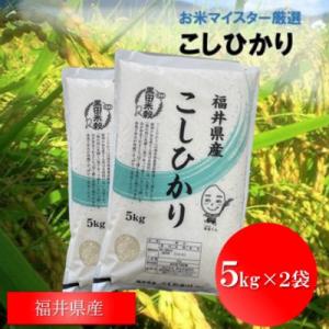 ふるさと納税 鯖江市 福井県産【令和8年産】こしひかり　10kg