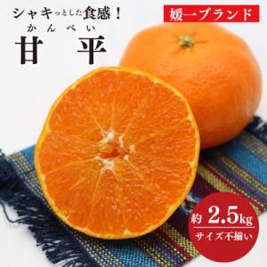 ふるさと納税 八幡浜市 愛媛の高級柑橘の一つ!「甘平(かんぺい)」約2.5kg入【訳あり】【C28-...