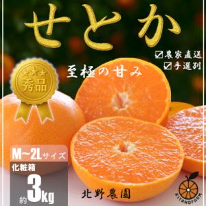 ふるさと納税 湯浅町 【先行受付】秀品 せとか 和歌山 有田 化粧箱 M〜2Lサイズ 大きさお任せ