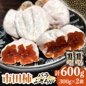 ふるさと納税 飯田市 南信州の名産品 【市田柿】計600g　(300g×2袋)バラふぞろい｜Yahoo!ふるさと納税