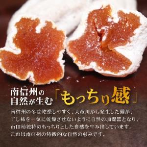 ふるさと納税 飯田市 南信州の名産品 【市田柿...の詳細画像1