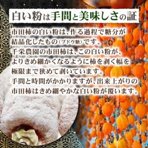 ふるさと納税 飯田市 南信州の名産品 【市田柿...の詳細画像2