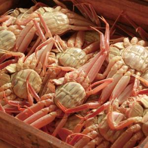 ふるさと納税 香美町 【訳あり】釜茹でセコガニ...の詳細画像3