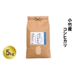 ふるさと納税 安来市 小竹産コシヒカリ5kg(安来市)