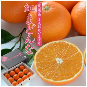 紅まどんな（フルーツ） | 食品 の商品一覧 通販 - Yahoo!ショッピング