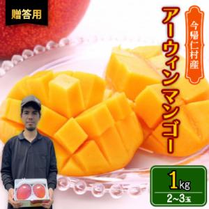 ふるさと納税 今帰仁村 【2026年6月から順次発送・贈答用】仲本マンゴー園のアーウィンマンゴー1k...