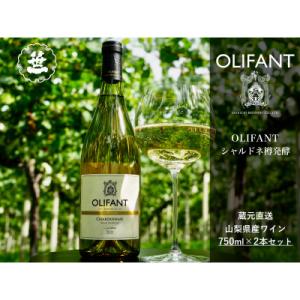 ふるさと納税 大月市 【山梨ワイン】蔵元直送「OLIFANTシャルドネ樽発酵750ml×2本セット」