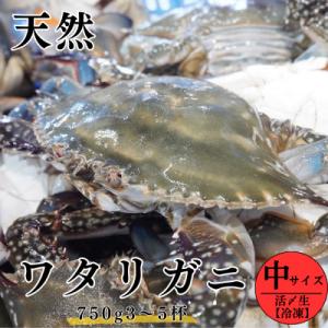 ふるさと納税 南知多町 活〆生ワタリガニ(中サイズ)750g3〜5杯 冷凍便＼特製三杯酢付き/