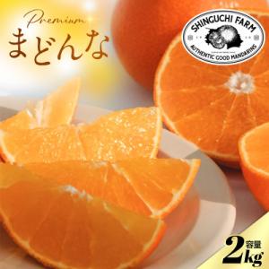 ふるさと納税 八幡浜市 【紅まどんなと同品種】老舗農家が見極めたプレミアム【まどんな 2kg】【C7...