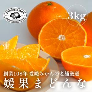 紅まどんな（フルーツ） | 食品 のおすすめ人気商品一覧 通販