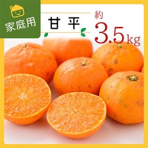 ふるさと納税 八幡浜市 コウ果樹園の家庭用【甘平】3.5kg【C33-32】