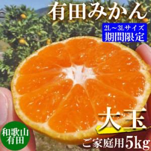 ふるさと納税 美浜町 【ご家庭用】和歌山有田みかん約5kg(2L、3Lサイズいずれか)【美浜町】