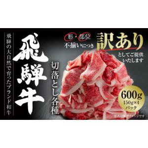 ふるさと納税 高山市 訳あり 飛騨牛 切落とし600g(150g×4パック)使い勝手の良い小分け冷凍...