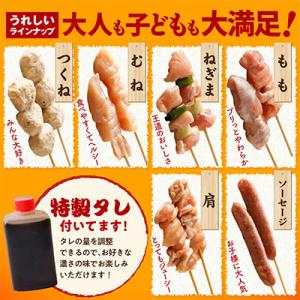 ふるさと納税 泉佐野市 やきとりセット 6種72本の詳細画像2