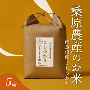 ふるさと納税 南魚沼市 【吟精無洗米】南魚沼産コシヒカリ 精米 15kg